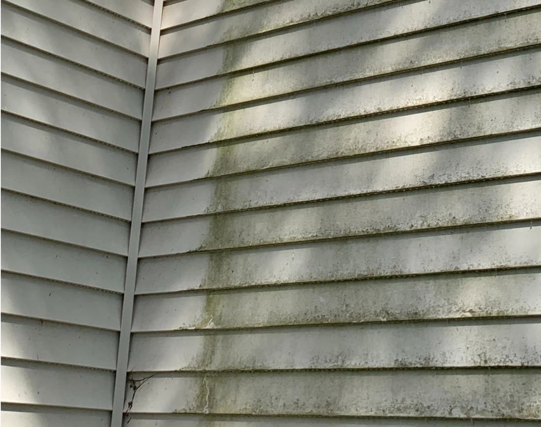 House siding streaked green and grey with algae before soft washing
